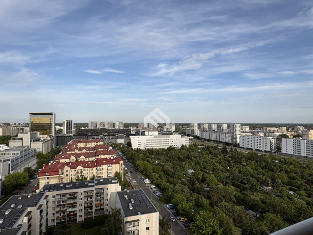 – – zdjęcie 10