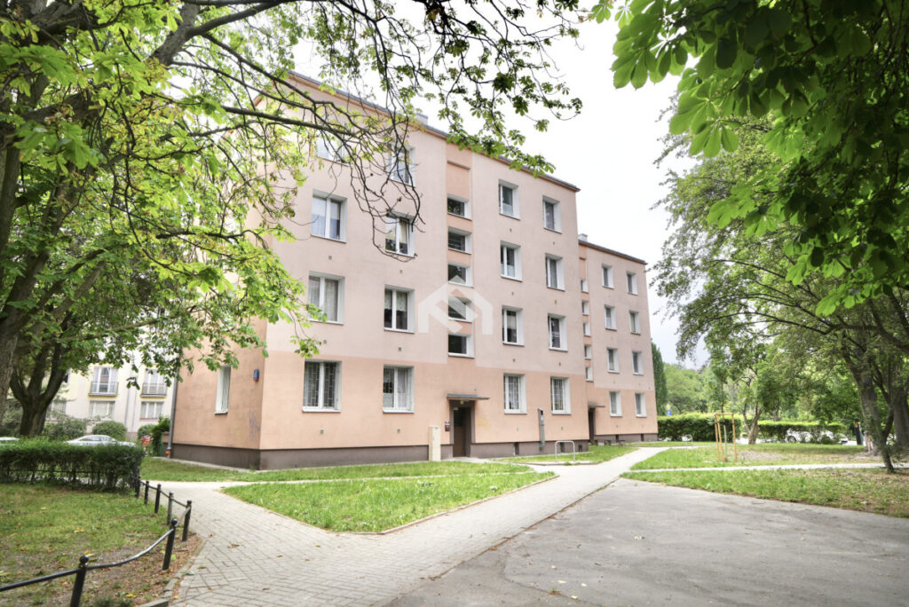 – – zdjęcie 10