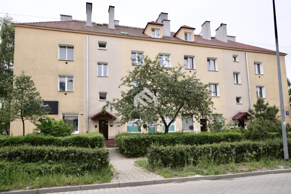 – – zdjęcie 12
