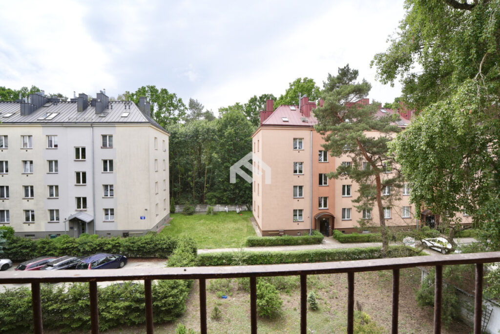 – – zdjęcie 5