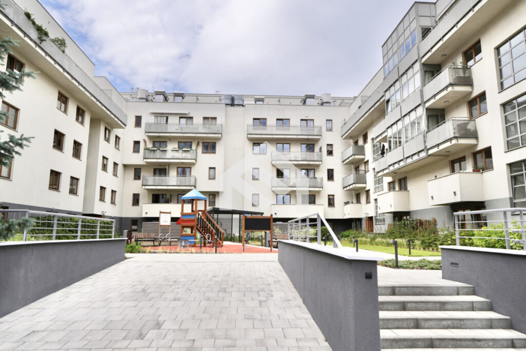 – – zdjęcie 17